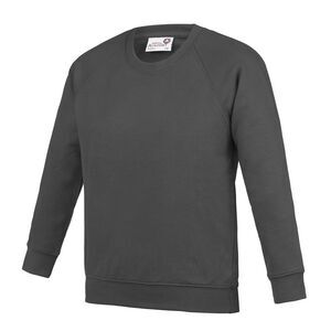 AWDis Academy Childrens/Kids Crew Neck  School Sweatshirt (Pack of 2) / Charcoal